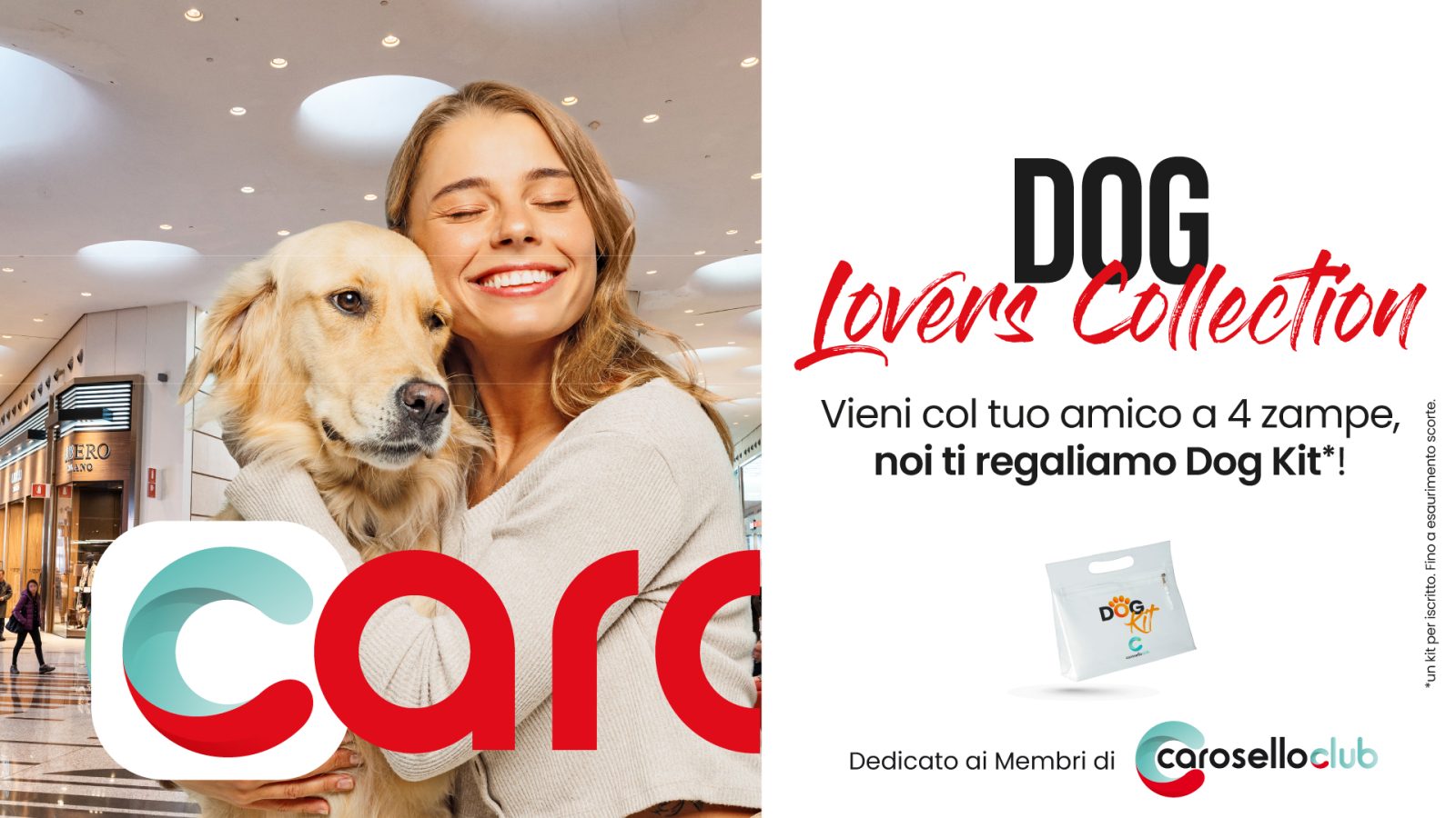 dog kit carosello dog kit carosello